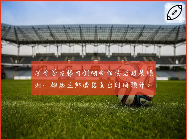 字母哥左膝内侧韧带扭伤后进展顺利,雄鹿主帅透露复出时间预计六月底