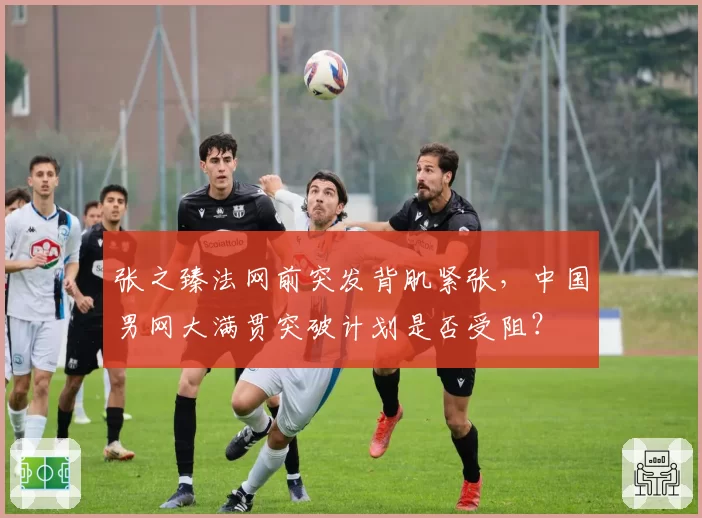 张之臻法网前突发背肌紧张，中国男网大满贯突破计划是否受阻？